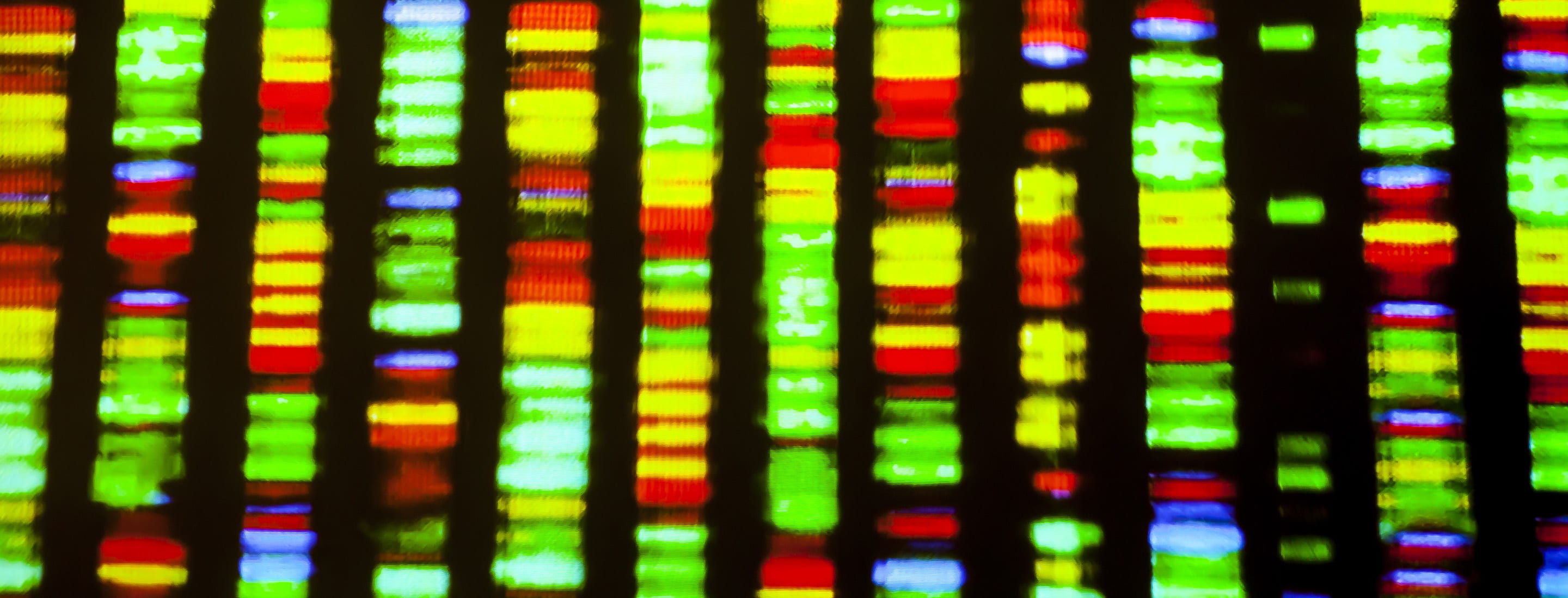 Decorative genetics sequencing
